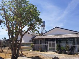 2 Bedroom House for sale in Phuoc Thuan, Xuyen Moc, Phuoc Thuan