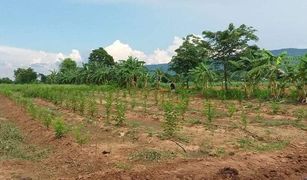 Nong Tum, Chaiyaphum တွင် N/A မြေ ရောင်းရန်အတွက်