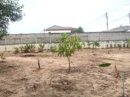  Land for sale in Nai Yang Beach, Sakhu, Sakhu