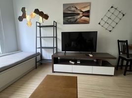 2 спален Кондо в аренду в Tree Condo Sukhumvit 42, Phra Khanong, Кхлонг Тоеи, Бангкок