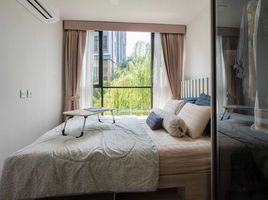 1 Bedroom Condo for rent at Atmoz Tropicana Bangna, Bang Na