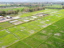  Land for sale in Rong Wua Daeng, San Kamphaeng, Rong Wua Daeng