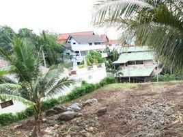  Land for sale in Tri Trang Beach, Patong, Patong