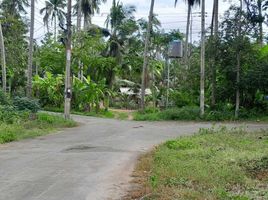  Land for sale in Ao Bang Kao, Na Mueang, Na Mueang