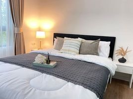 1 Bedroom Condo for rent at iCondo Salaya, Sala Ya