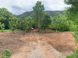  Land for sale in Pa Miang, Doi Saket, Pa Miang
