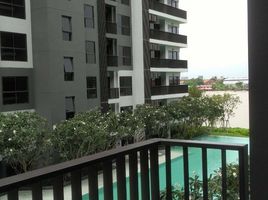 2 Bedroom Condo for rent at The Politan Breeze, Bang Kraso