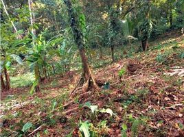  Grundstück zu verkaufen in Bocas Del Toro, Bocas Del Toro, Bastimentos