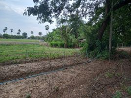  Land for sale in Thung Noi, Mueang Nakhon Pathom, Thung Noi