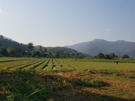  Grundstück zu verkaufen in Mae Wang, Chiang Mai, Thung Pi
