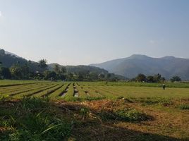  Grundstück zu verkaufen in Mae Wang, Chiang Mai, Thung Pi, Mae Wang, Chiang Mai