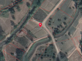  Land for sale in Mae Chedi Mai, Wiang Pa Pao, Mae Chedi Mai