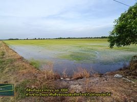  Grundstück zu verkaufen in Ongkharak, Nakhon Nayok, Bueng San