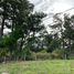  Land for sale in Boquete, Chiriqui, Palmira, Boquete