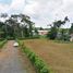  Land for sale in Thalang, Phuket, Pa Khlok, Thalang