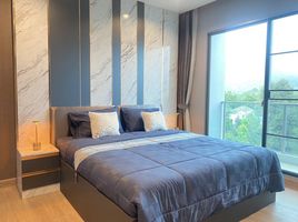 1 Bedroom Condo for rent at Touch Hill Place Elegant, Chang Phueak, Mueang Chiang Mai