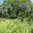  Land for sale at Liberia, Liberia