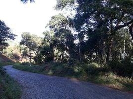  Land for sale in Rio de Janeiro, Sao Jose Do Ribeirao, Bom Jardim, Rio de Janeiro