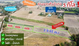 Nong Ya Sai, Suphan Buri တွင် N/A မြေ ရောင်းရန်အတွက်