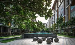 Фото 3 of the Communal Pool at Dcondo Campus Resort Bangsaen