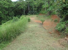  Land for sale in Aguirre, Puntarenas, Aguirre