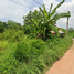  Land for sale in Mueang Nakhon Ratchasima, Nakhon Ratchasima, Khok Kruat, Mueang Nakhon Ratchasima