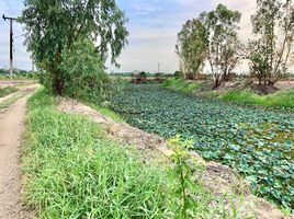  Grundstück zu verkaufen in Ban Na, Nakhon Nayok, Khao Phoem