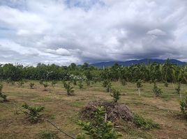  Grundstück zu verkaufen in Mae Rim, Chiang Mai, Mueang Kaeo, Mae Rim