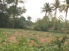  Land for sale in Hua Khwang, Kosum Phisai, Hua Khwang