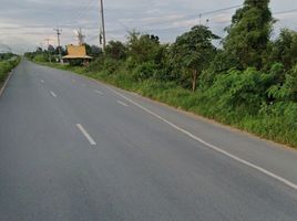  Grundstück zu verkaufen in Sikhio, Nakhon Ratchasima, Nong Bua Noi