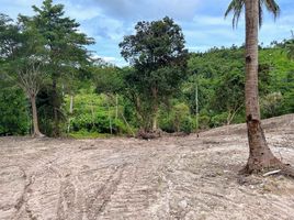  Grundstück zu verkaufen in Koh Samui, Surat Thani, Maenam