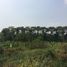  Land for sale in Talat Kruat, Mueang Ang Thong, Talat Kruat