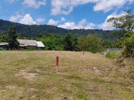  Land for sale in Thalang Phuket, Pa Khlok