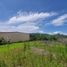  Land for sale in Atenas Alajuela, Atenas, Alajuela