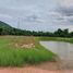  Land for sale in Phitsanulok, Wang Thong, Wang Thong, Phitsanulok