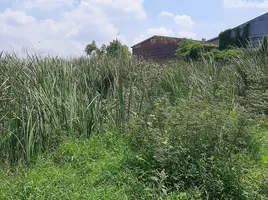  Grundstück zu verkaufen in Nakhon Chai Si, Nakhon Pathom, Tha Tamnak, Nakhon Chai Si, Nakhon Pathom, Thailand