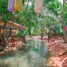  Hotel / Resort zu verkaufen in Kaeng Krachan, Phetchaburi, Kaeng Krachan, Kaeng Krachan, Phetchaburi, Thailand