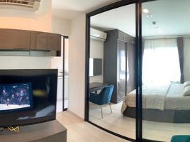 1 Schlafzimmer Wohnung zu vermieten im Life Asoke, Bang Kapi, Huai Khwang, Bangkok, Thailand
