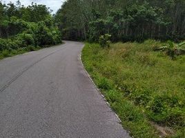  Land for sale in Phuket International Airport, Mai Khao, Thep Krasattri