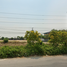  Grundstück zu verkaufen in Bang Pa-In, Phra Nakhon Si Ayutthaya, Ban Krot, Bang Pa-In