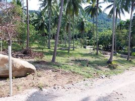  Land for sale in Khanom, Nakhon Si Thammarat, Khanom
