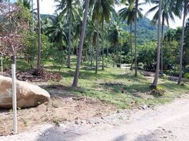  Grundstück zu verkaufen in Khanom, Nakhon Si Thammarat, Khanom