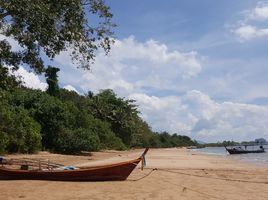  Grundstück zu verkaufen in Sikao, Trang, Khao Mai Kaeo, Sikao