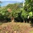  Land for sale in Phuket, Pa Khlok, Thalang, Phuket