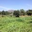  Land for sale in Santiago, Buin, Maipo, Santiago