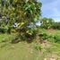  Land for sale in Badung Bali, Kuta