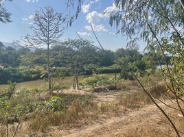  Земельный участок for sale in Мае Рим, Чианг Маи, Mueang Kaeo, Мае Рим