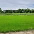  Land for sale in Mueang Phitsanulok, Phitsanulok, Phlai Chumphon, Mueang Phitsanulok