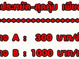 ขายที่ดิน ใน เมืองนนทบุรี นนทบุรี, บางไผ่