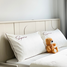 ขายบ้านเดี่ยว 3 ห้องนอน ใน ปากน้ำ, กระบี่, ปากน้ำ